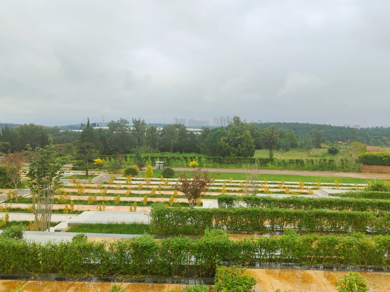 23区34分区向南.webp