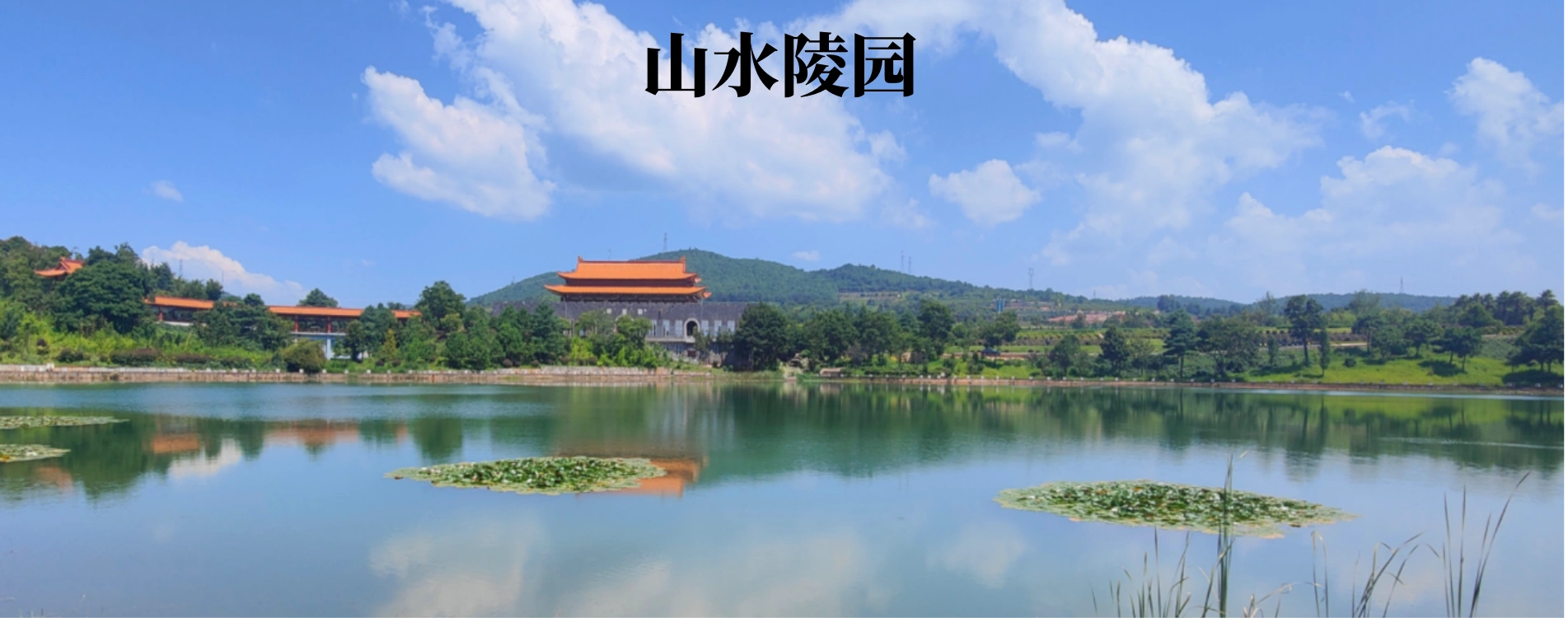 轮播图5